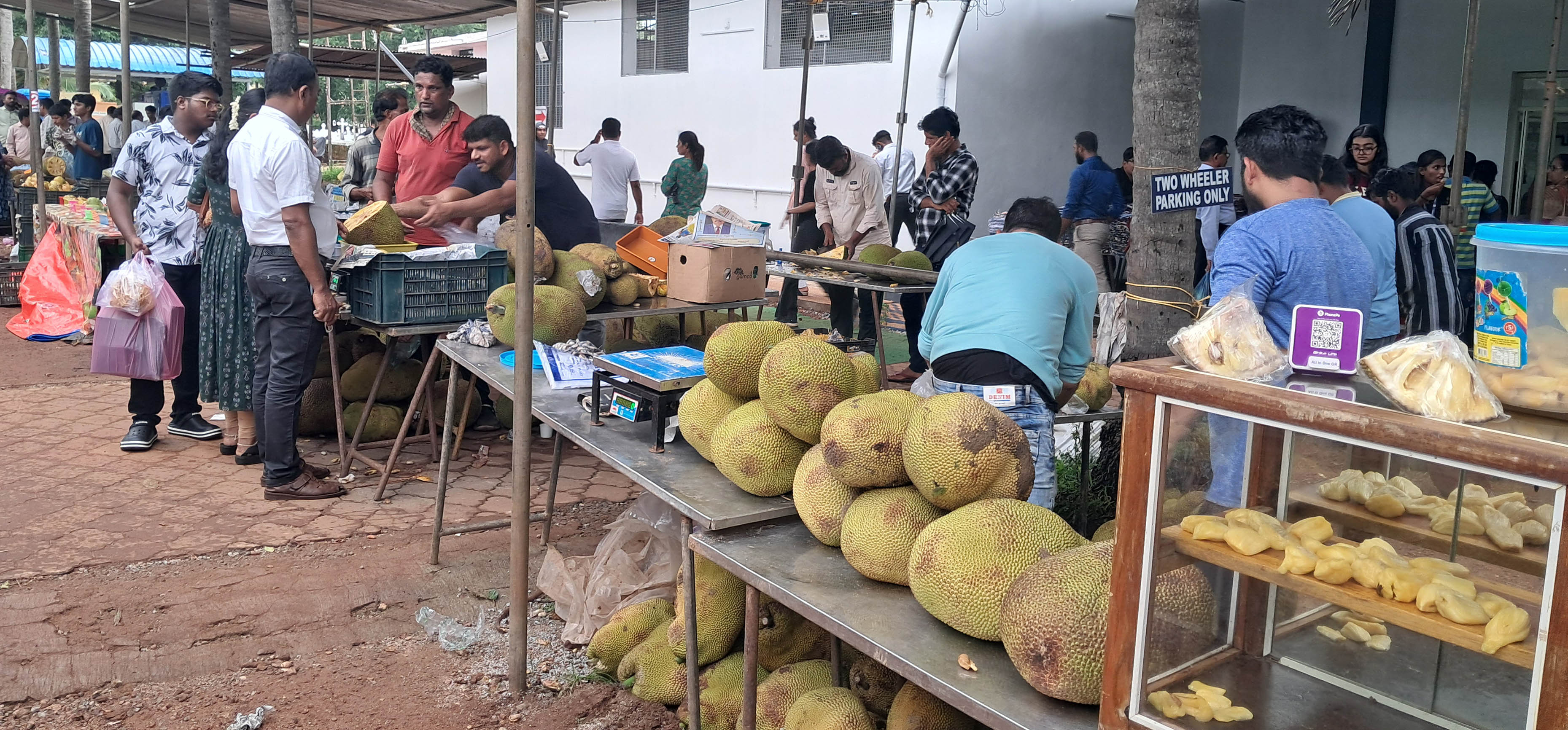 ಮೇಳದಲ್ಲಿ ಕಂಡು ವಿವಿಧ ತಳಿಯ ಹಲಸಿನ ಹಣ್ಣು