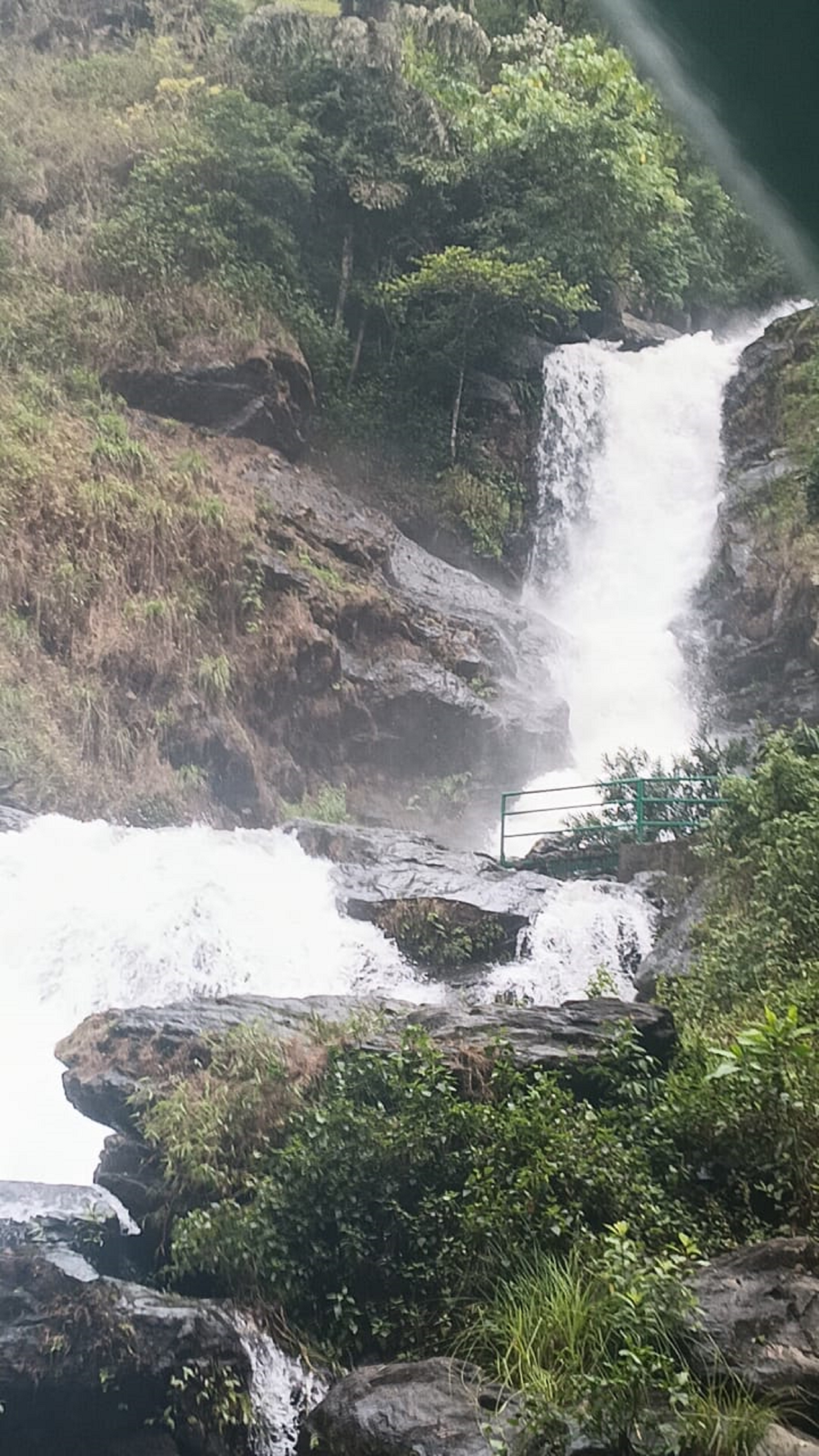 ಕೊಡಗು ಜಿಲ್ಲೆಯ ಇರ್ಪು ಜಲಪಾತವು ಶುಕ್ರವಾರ ಹಾಲ್ನೊರೆಯಂತೆ ಧುಮ್ಮಿಕ್ಕುತ್ತಿತ್ತು