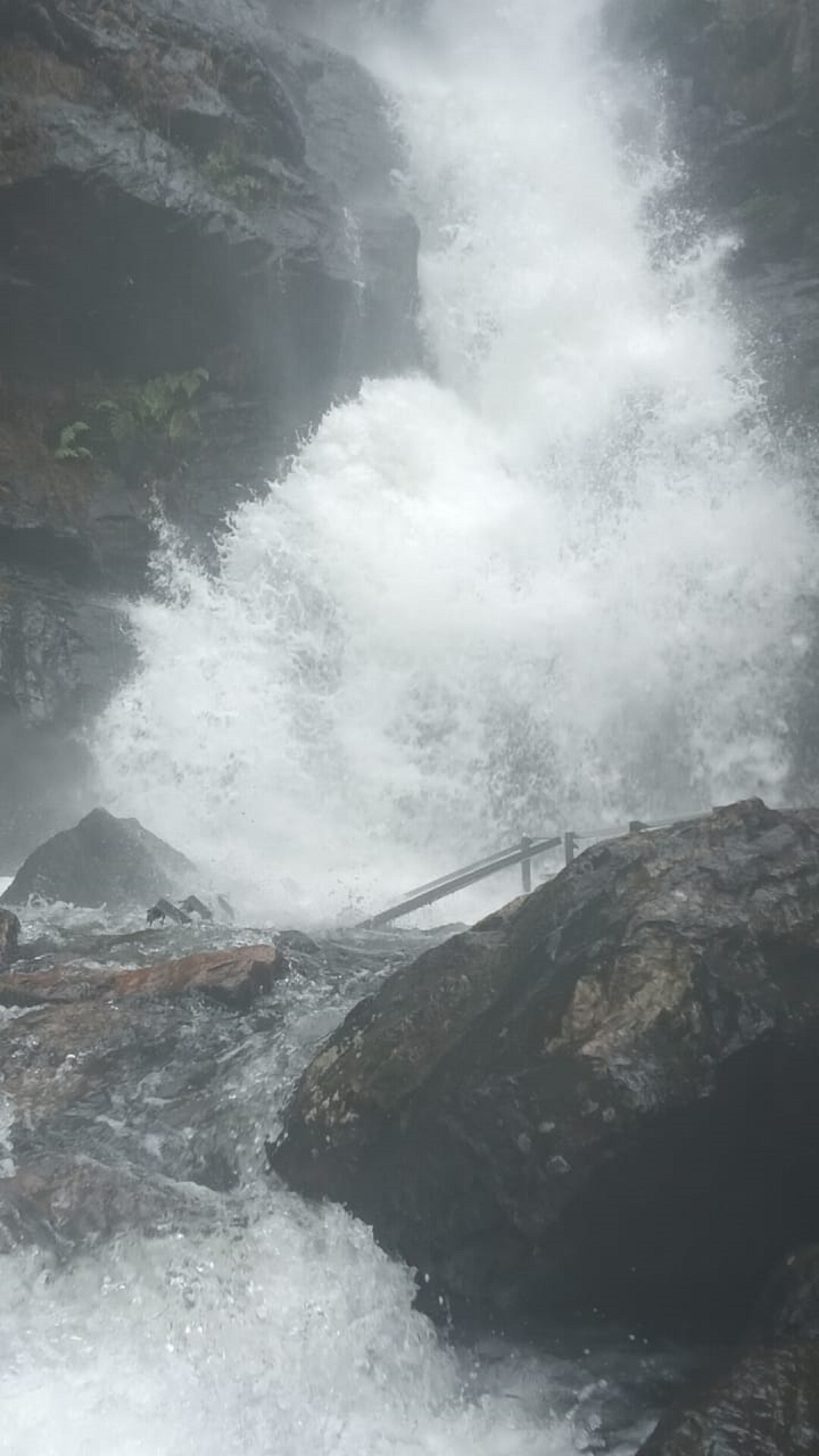 ಕೊಡಗು ಜಿಲ್ಲೆಯ ಇರ್ಪು ಜಲಪಾತವು ಶುಕ್ರವಾರ ಹಾಲ್ನೊರೆಯಂತೆ ಧುಮ್ಮಿಕ್ಕುತ್ತಿತ್ತು