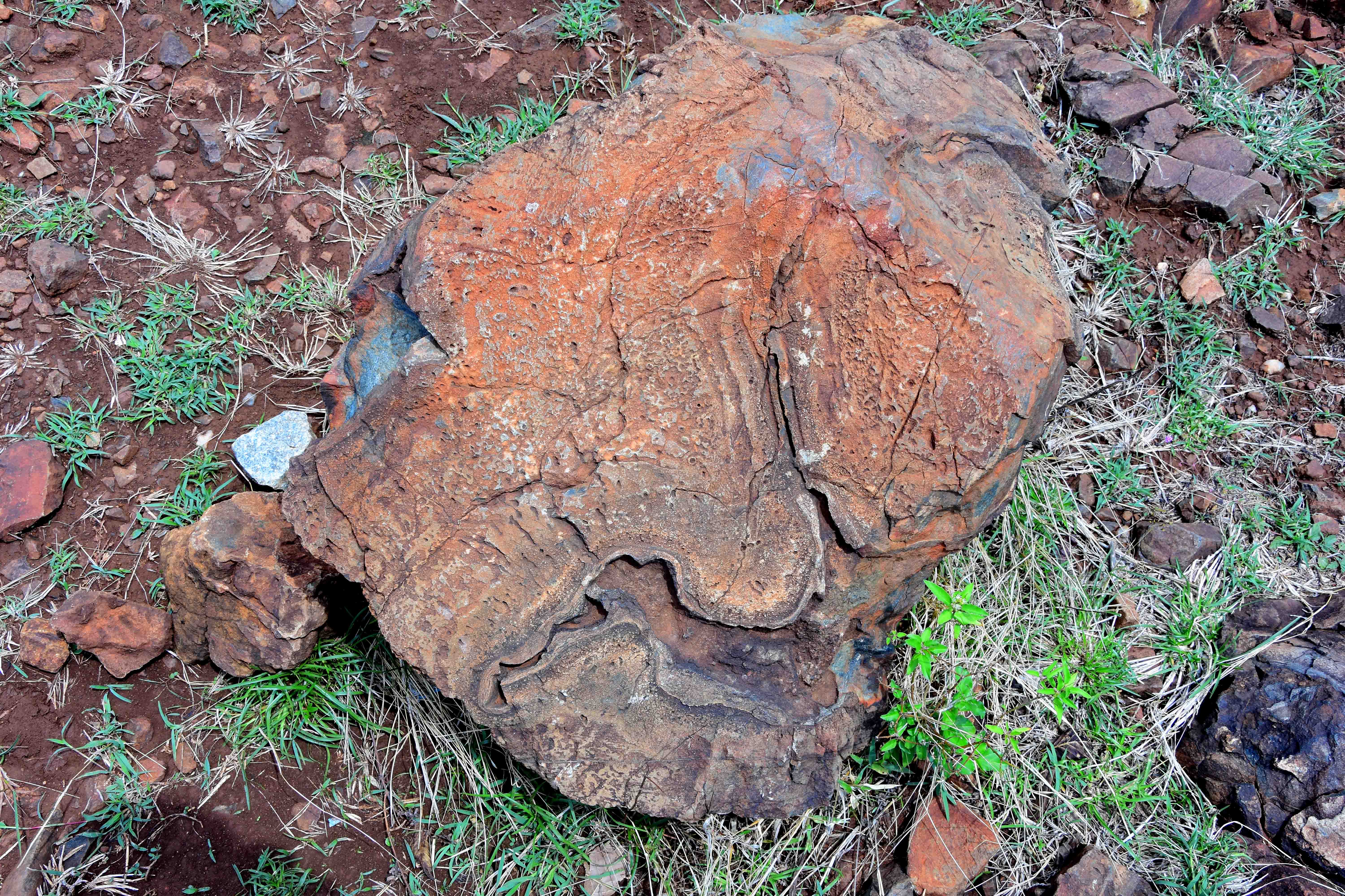 ವಿವಿಧ ಗಾತ್ರದ ಪಿಲ್ಲೋ ಲಾವಾ