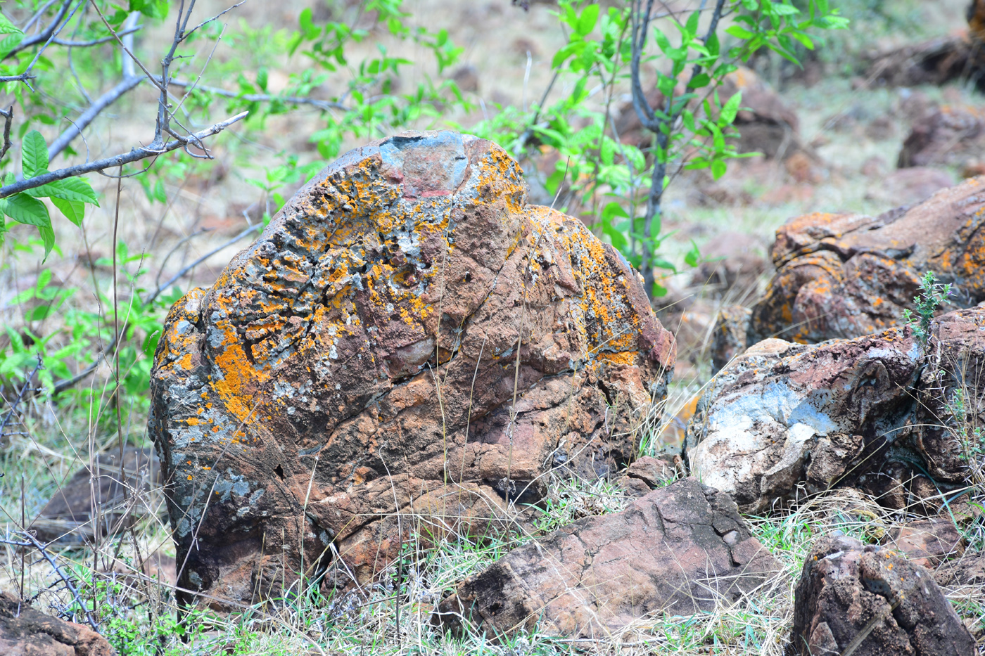 ವಿವಿಧ ಆಕೃತಿಯಲ್ಲಿ ಪಿಲ್ಲೋ ಲಾವಾ