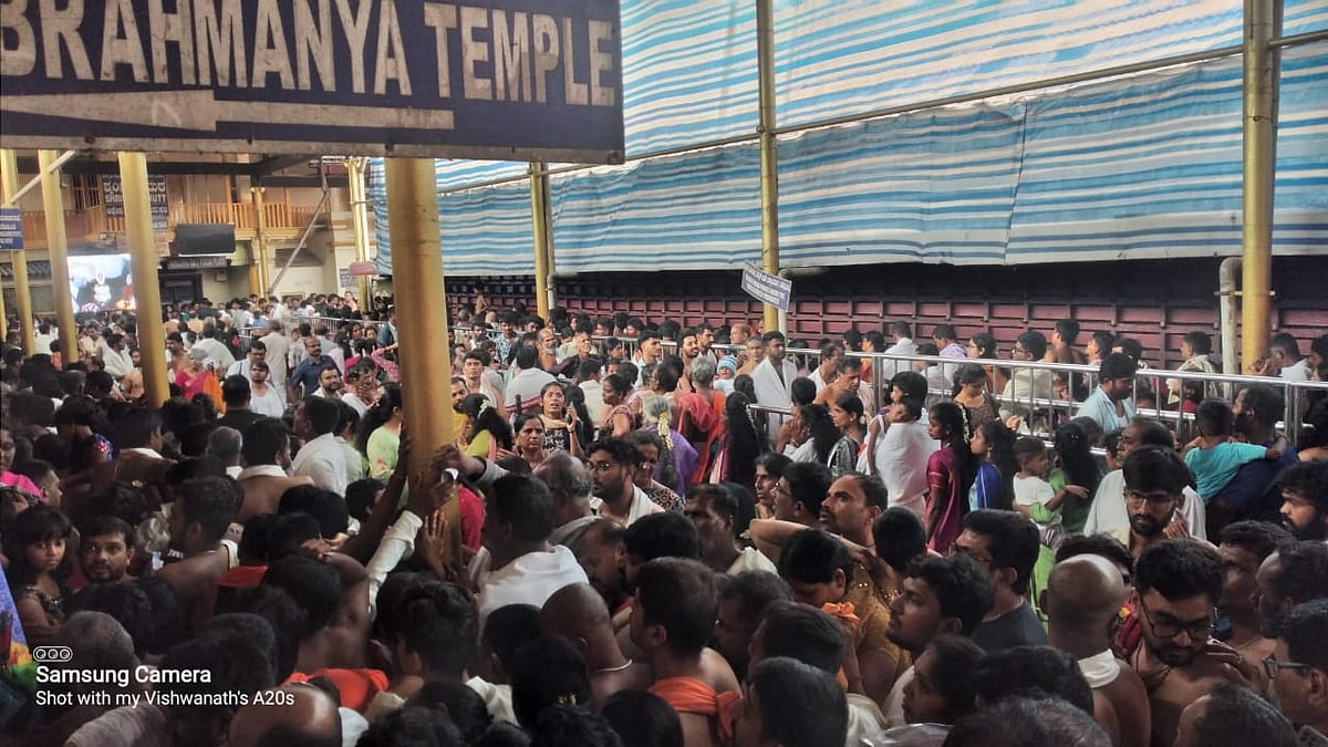 ಕುಕ್ಕೆ ಸುಬ್ರಹ್ಮಣ್ಯ ಕ್ಷೇತ್ರದಲ್ಲಿ ಭಕ್ತ ಸಾಗರ