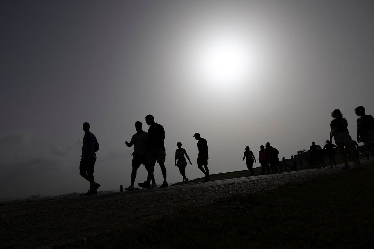 ಮರಳುಗಾಡಿನ ಹೂವು