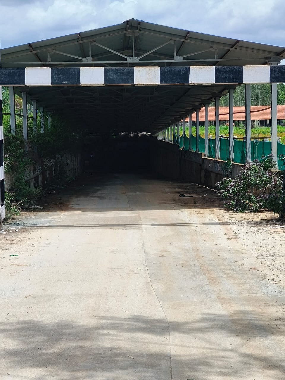 ಬಂಗಾರಪೇಟೆ ತಾಲ್ಲೂಕಿನಲ್ಲಿ ಮೃತ್ಯು ಕೂಪವಾದ ರೈಲ್ವೆ ಕೆಳ ಸೇತುವೆಗಳು