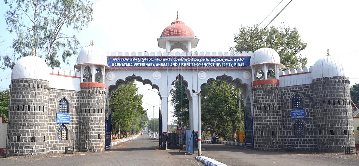 ಬೀದರ್‌: ರಾಜ್ಯದ ಏಕೈಕ ಪಶು ವಿವಿಗೆ ಕುತ್ತು