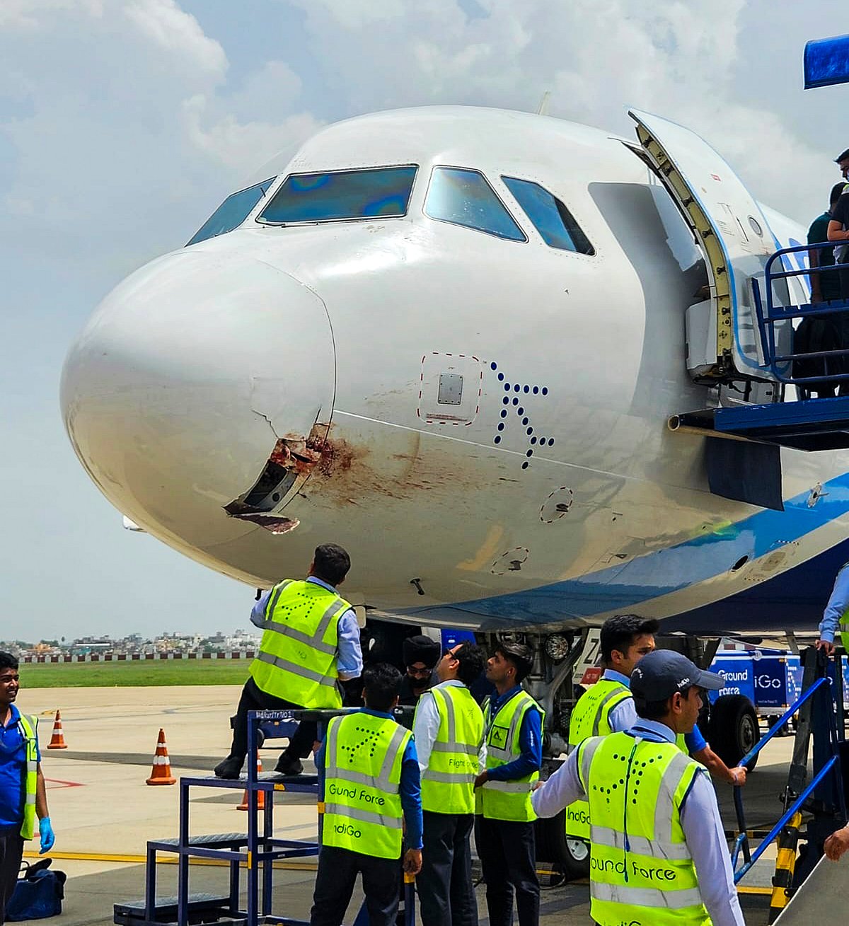175 ಪ್ರಯಾಣಿಕರಿದ್ದ ಇಂಡಿಗೊ ವಿಮಾನಕ್ಕೆ ಹದ್ದು ಡಿಕ್ಕಿ; ತುರ್ತು ಭೂಸ್ಪರ್ಶ