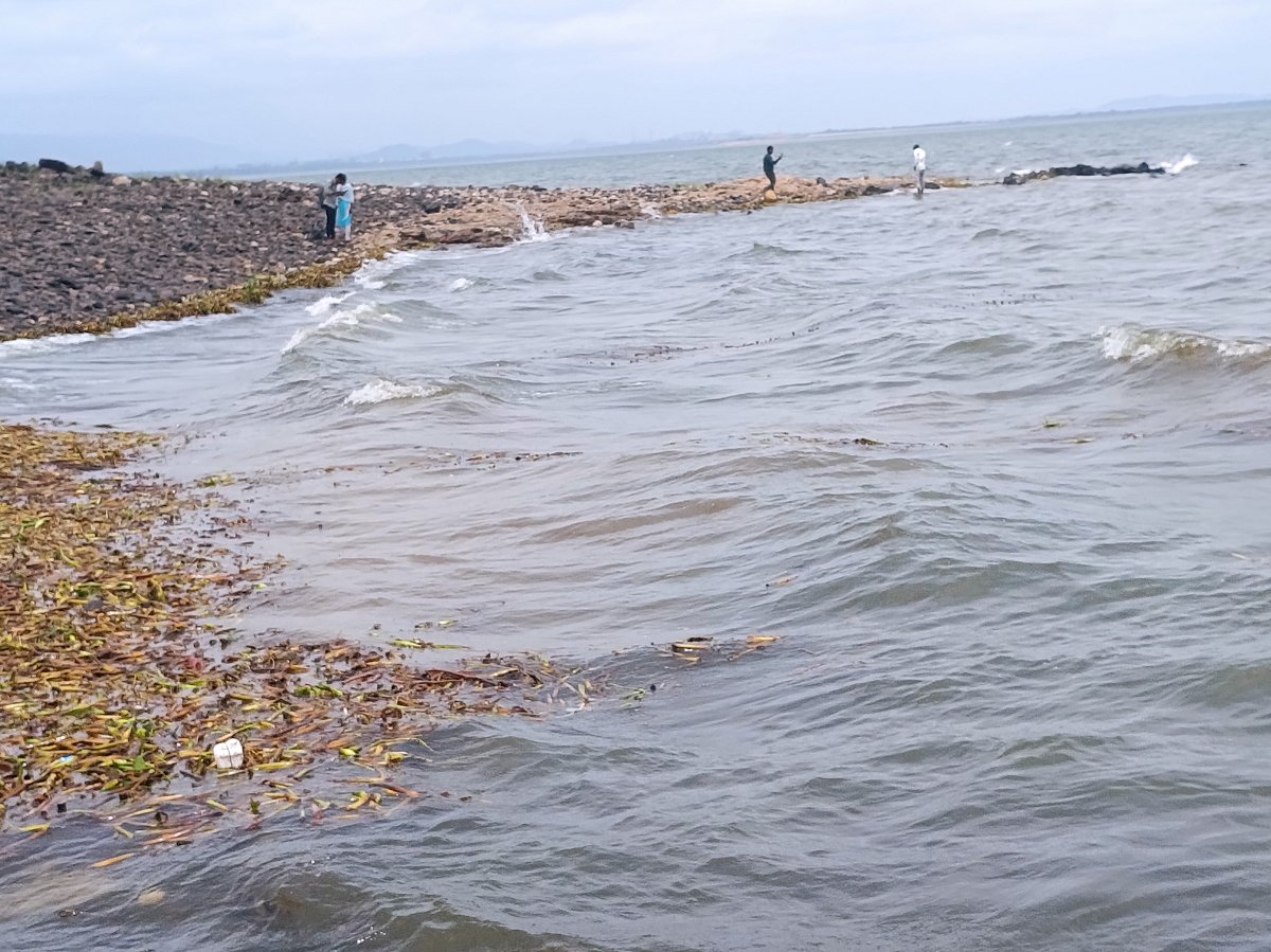 ಕೊಪ್ಪಳ: ತುಂಗಭದ್ರಾ ಜಲಾಶಯಕ್ಕೆ ಜೀವ ಕಳೆ