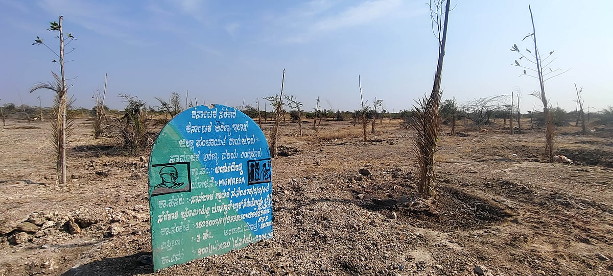 World Environment Day: ಪರಿಸರ ಸಂರಕ್ಷಣೆಗೆ ನರೇಗಾ ಬಲ