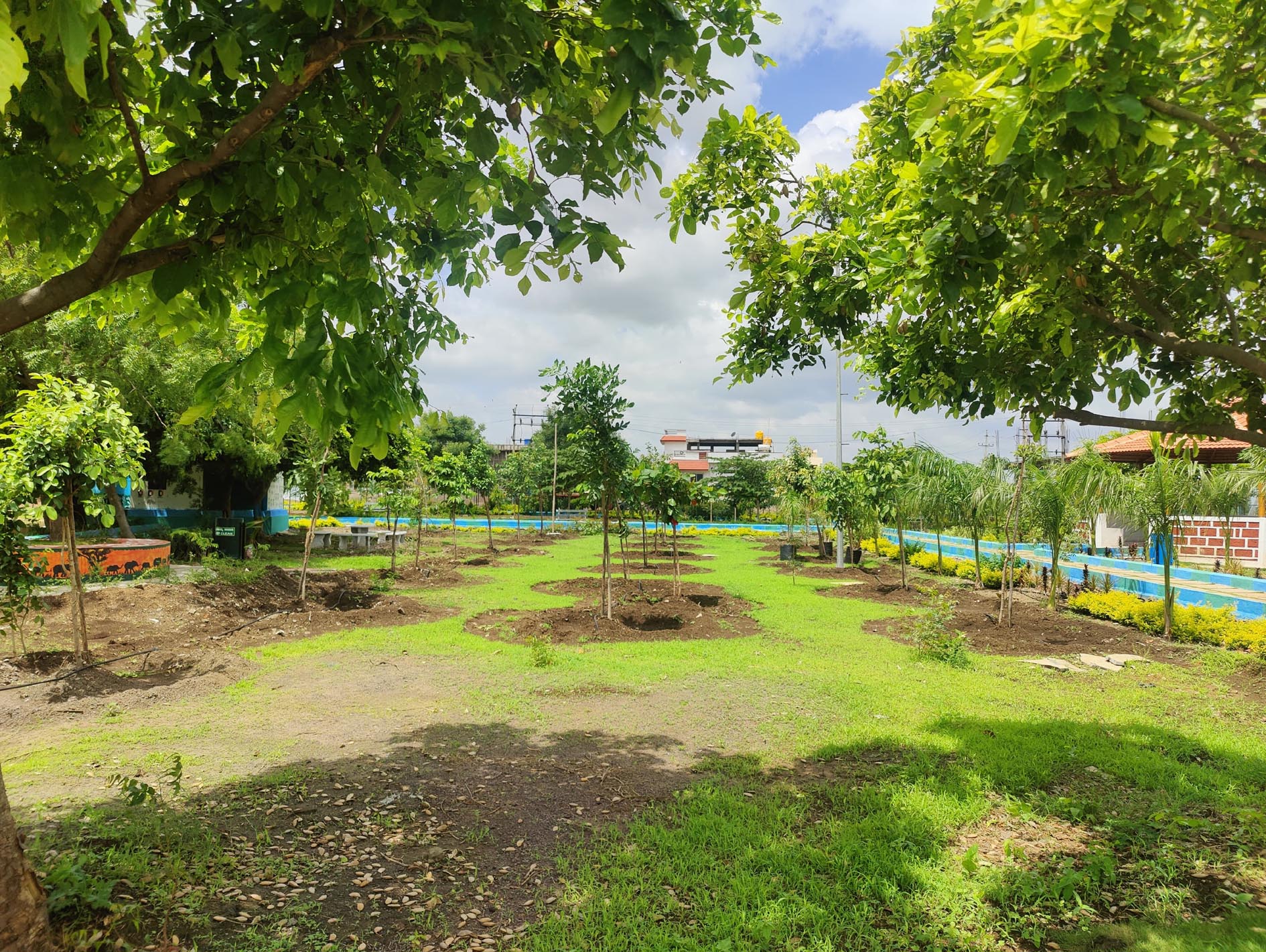 ವೃಕ್ಷೊದ್ಯಾನದಲ್ಲಿ ಹಸಿರು ಪರಿಸರ