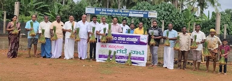 ಪಂಜ: ದೇವಸ್ಥಾನದ ಗದ್ದೆಯಲ್ಲಿ ಭತ್ತದ ಸಾಗುವಳಿ 