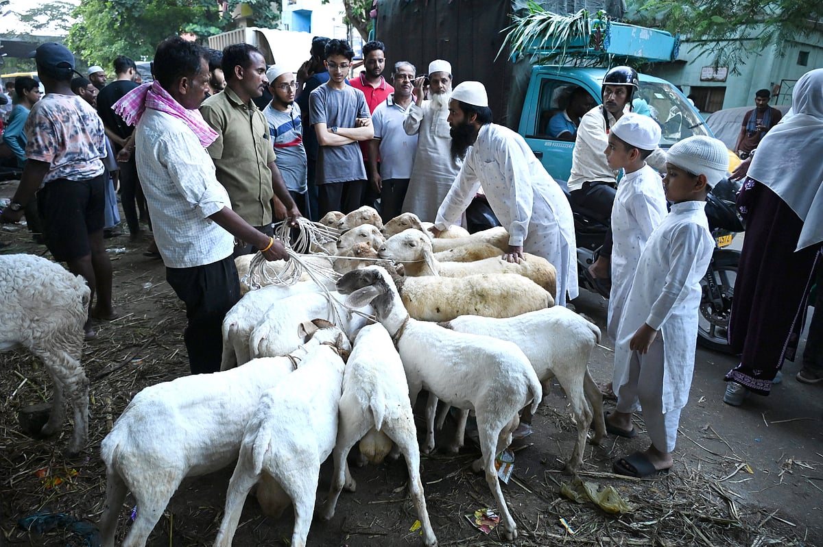 ಬಕ್ರೀದ್: ಕುರಿ, ಮೇಕೆ ವ್ಯಾಪಾರ ಜೋರು