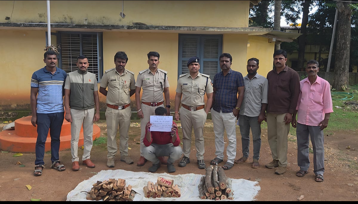 ಹೊಸನಗರ: 39 ಕೆ.ಜಿ. ಶ್ರೀಗಂಧ ವಶ