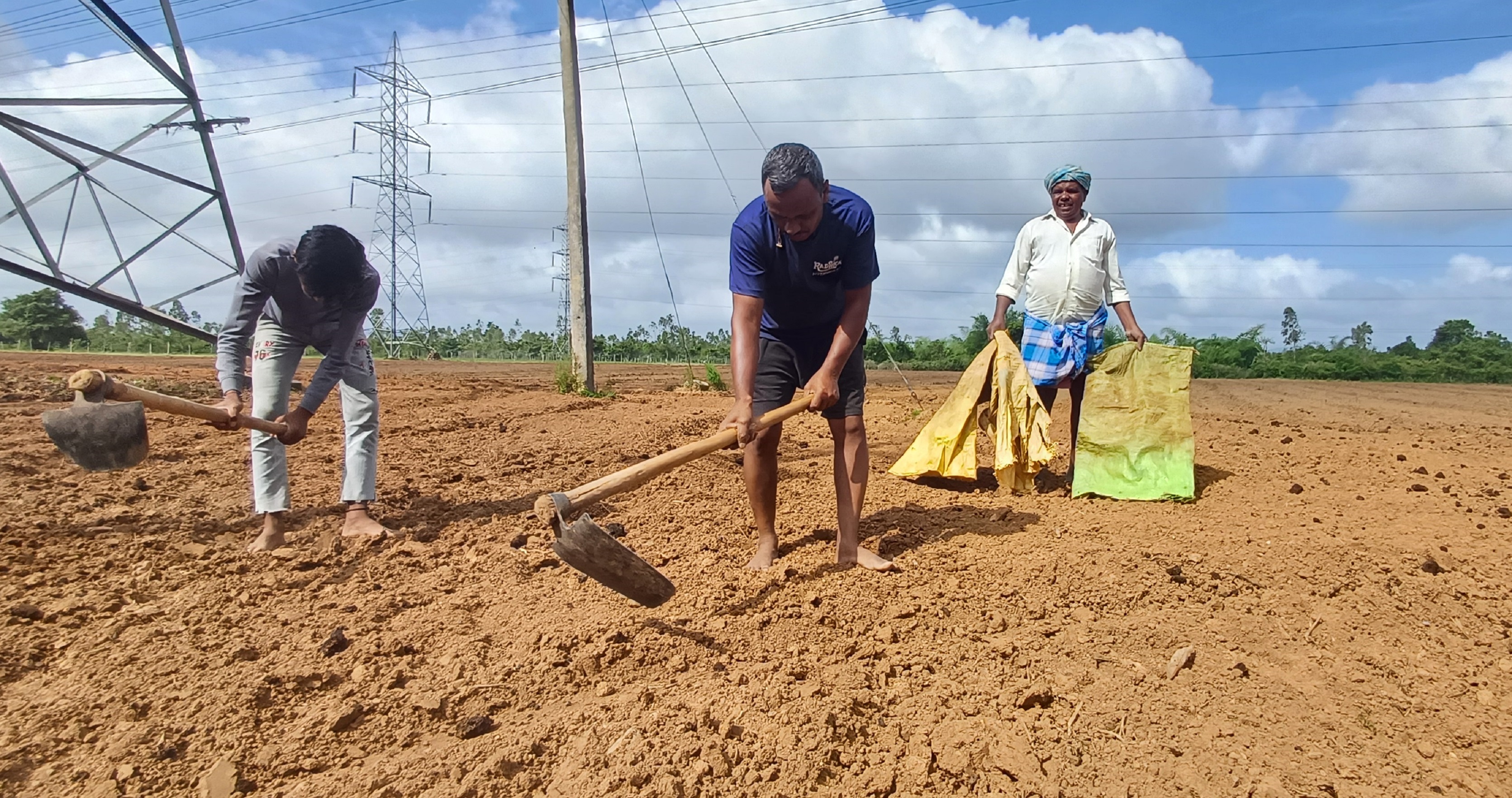 ಶಿವಮೊಗ್ಗ ಆಯನೂರು ಸಮೀಪದ ಚಿಕ್ಕದಾನವಂದಿ ಗ್ರಾಮದ ಜಮೀನೊಂದರಲ್ಲಿ ಮೆಕ್ಕೆಜೋಳ ಬಿತ್ತನೆಗೆ ರೈತರು ಸಿದ್ಧತೆ ನಡೆಸಿರುವುದು