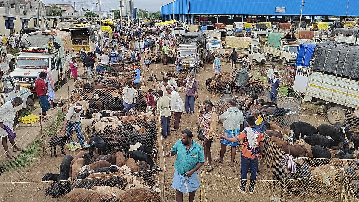 ಹಾವೇರಿ | ಎಪಿಎಂಸಿ ನಿರ್ಲಕ್ಷ್ಯ: ಕನಿಷ್ಠ ಸೌಲಭ್ಯವಿಲ್ಲದ ಜಾನುವಾರು ಮಾರುಕಟ್ಟೆ