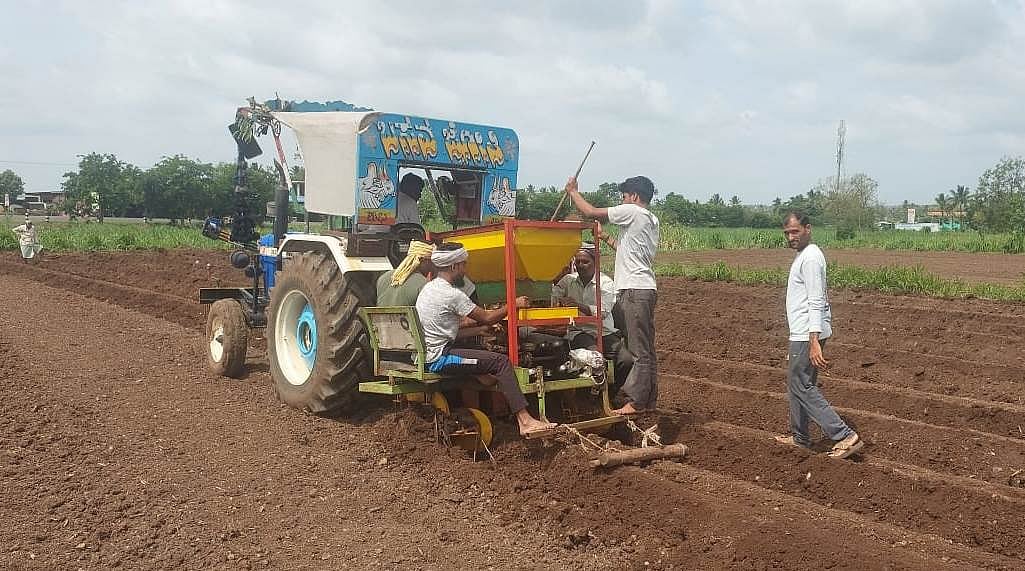 ಬೆಳಗಾವಿ: ಅರಿಸಿನ ಬೆಳೆಯತ್ತ ಮೂಡಲಗಿ ರೈತರ ಚಿತ್ತ