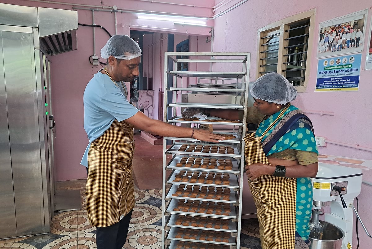 ಹೊನ್ನಾಳಿ: ಸಿರಿಧಾನ್ಯದ ಕಿರು ಉದ್ದಿಮೆಗೆ ಸೌರ‘ಶಕ್ತಿ’