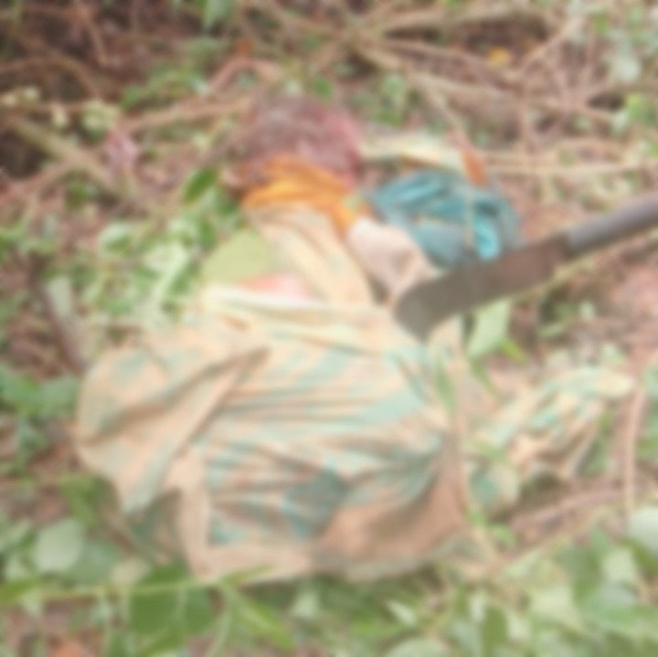 ಚಾಮರಾಜನಗರ: BRT ಬೇಡುಗುಳಿ ಬಳಿ ಹುಲಿ ದಾಳಿಗೆ ಹಾಡಿ ಮಹಿಳೆ ಬಲಿ, ಯುವಕನಿಗೆ ಗಾಯ