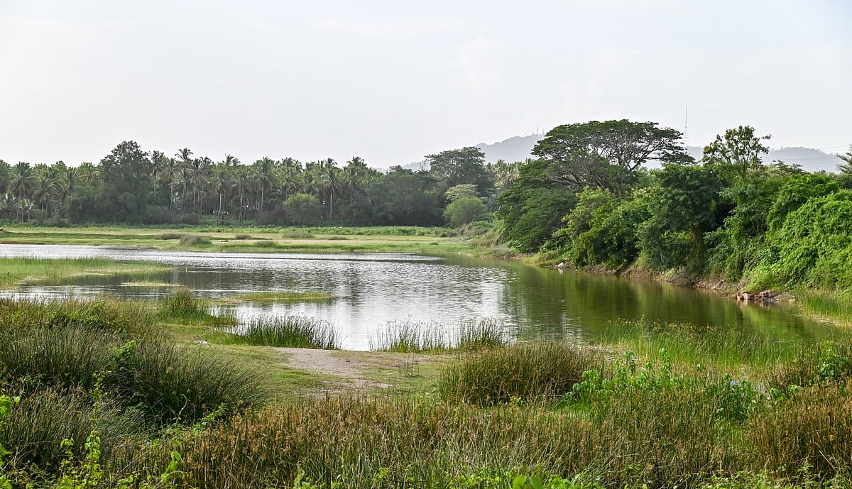 ಮೈಸೂರು: ‘ಉಂಡಬತ್ತಿ ಕೆರೆ’ಗೆ ನಗರೀಕರಣದ ‘ಬಿಸಿ’ 
