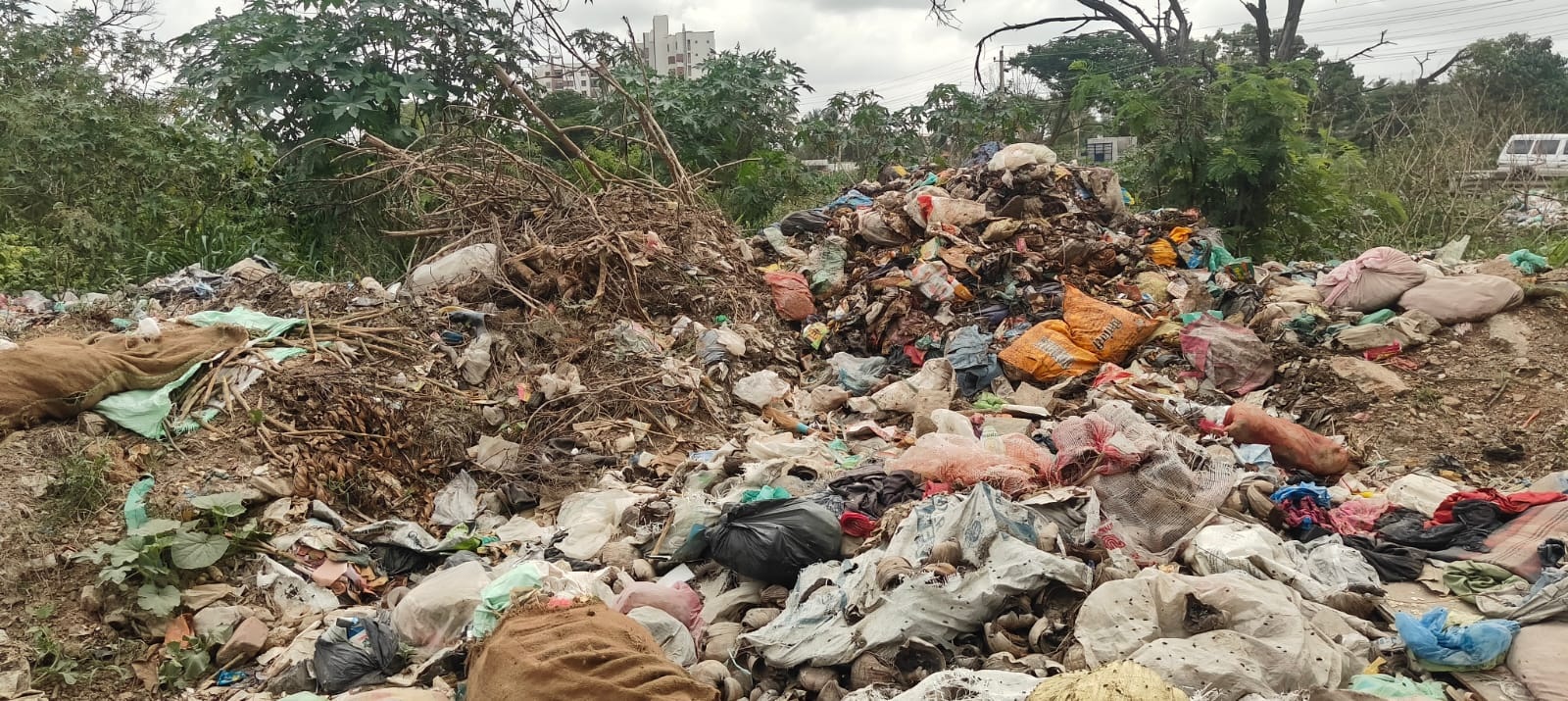 ಕೆರೆಯ ಅಂಚಿನಲ್ಲಿ ಸುರಿದಿರುವ ಕಸ