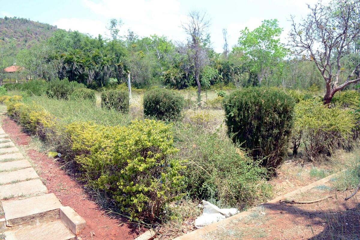 ವಿ.ವಿ ಸಾಗರ: ಸೌಲಭ್ಯ ಕೊರತೆಯ ಆಗರ