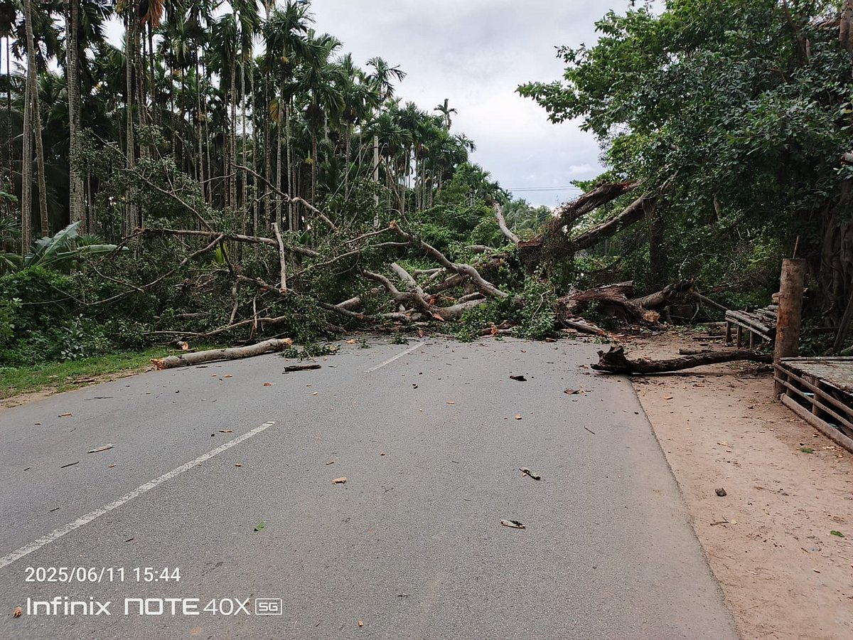 ಶಿವಮೊಗ್ಗ ಜಿಲ್ಲೆ; ಮತ್ತೆ ಬಿರುಸುಗೊಂಡ ಮಳೆ