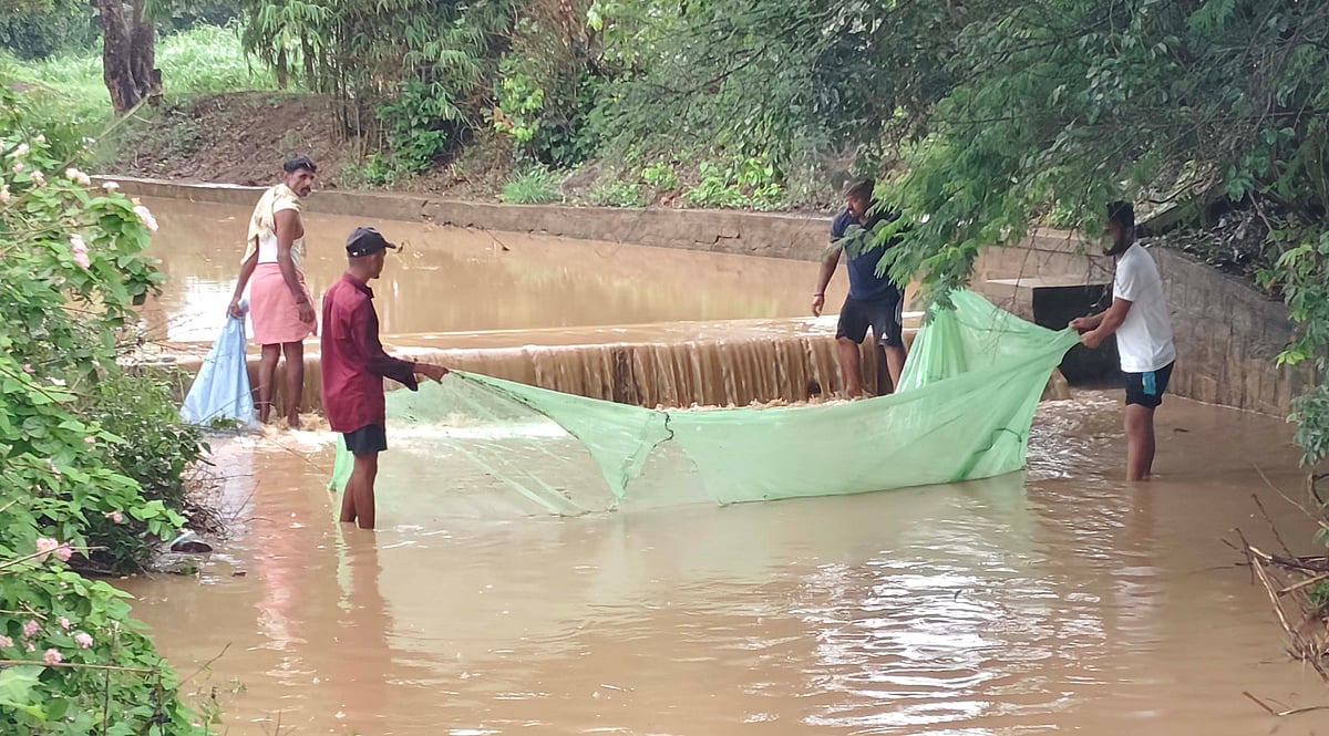ಧಾರಾಕಾರ ಮಳೆ: 20 ಹೆಕ್ಟೇರ್ ಬೆಳೆ ನಾಶ, 21 ಮನೆಗಳಿಗೆ ಹಾನಿ
