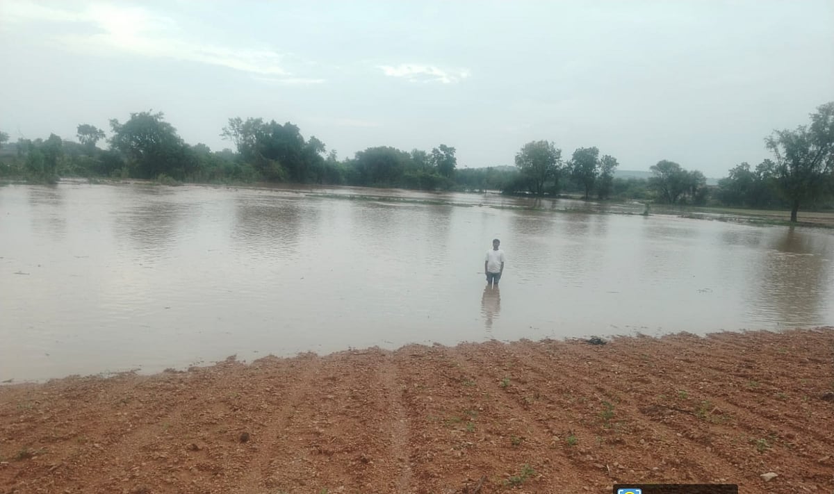ಚೆಕ್‌ಡ್ಯಾಂ ಗೇಟ್ ತೆರೆಯಲು ನಿರ್ಲಕ್ಷ್ಯ: ನೀರು ನುಗ್ಗಿ ಬೆಳೆ ಹಾನಿ