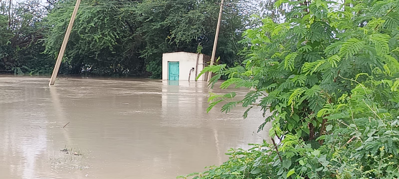 ಧಾರಾಕಾರ ಮಳೆ