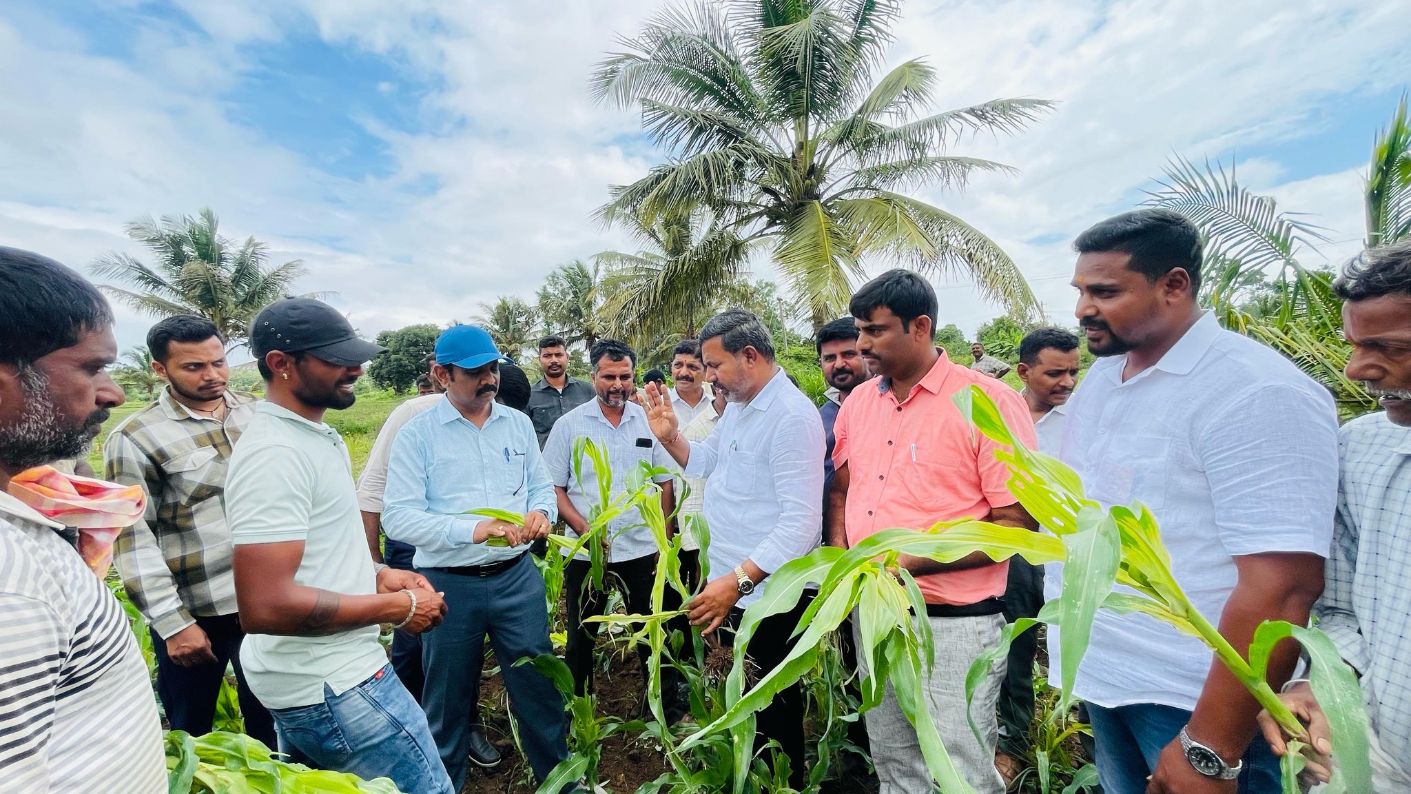 ಹಾಸನದ ತಾಲ್ಲೂಕಿನ ಕಟ್ಟಾಯ ಹೋಬಳಿ ಚನ್ನಂಗಿಹಳ್ಳಿ ಪಂಚಾಯಿತಿ ವ್ಯಾಪ್ತಿಯ ಲಕ್ಕನಾಯಕನಹಳ್ಳಿ ಗ್ರಾಮದಲ್ಲಿ ಜೋಳಕ್ಕೆ ರೋಗ ತಗುಲಿರುವುದನ್ನು ಶಾಸಕ ಸಿಮೆಂಟ್‌ ವೀಕ್ಷಿಸಿದರು.