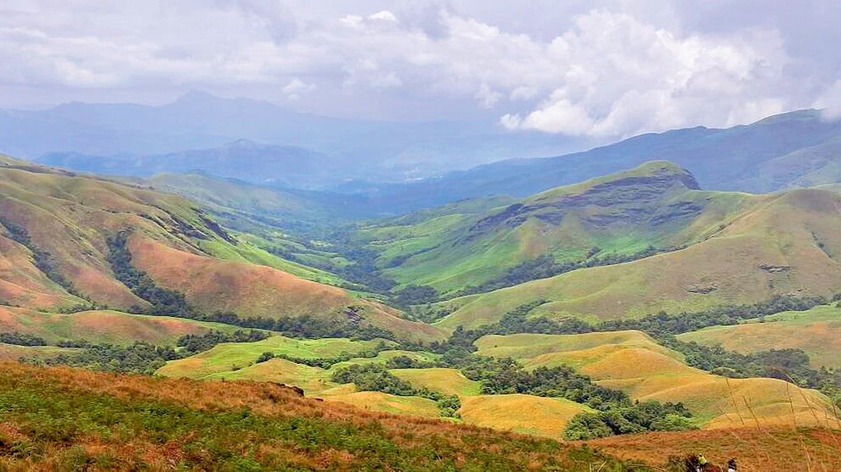 Trekking: ಚಾರಣಿಗರ ಸ್ವರ್ಗ ಈ ಕುದುರೆಮುಖ ಶಿಖರ..