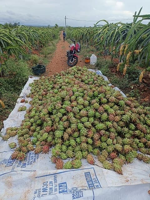 ರಾಮನಗರ: ಇ–ಕೆವೈಸಿ ಮಾಡಿಸಲು ಕೃಷಿ ಇಲಾಖೆ ಸೂಚನೆ