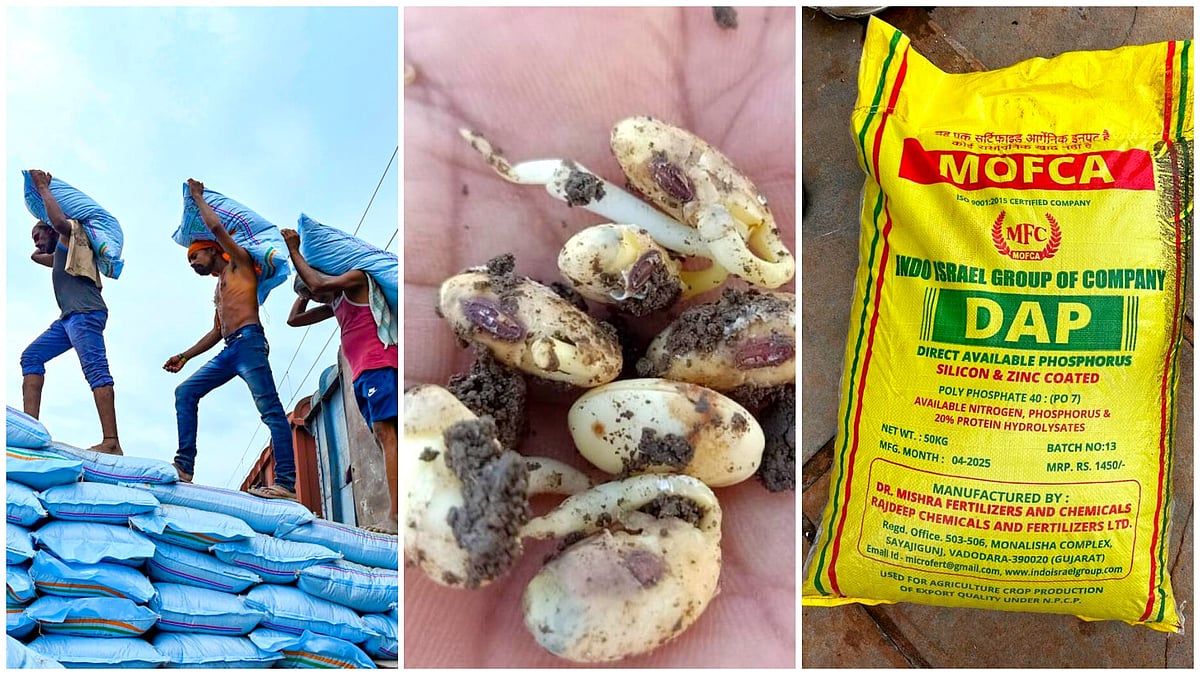 ಆಳ–ಅಗಲ: ರಾಜ್ಯದಲ್ಲಿ ರೈತರಿಗೆ ರಸಗೊಬ್ಬರ ಕೊರತೆ, ನಕಲಿ ಬಿತ್ತನೆ ಬೀಜದ ಹಾವಳಿ! 