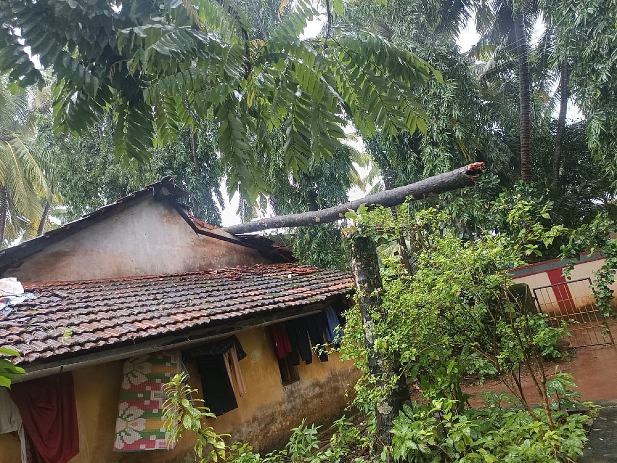 ಭಟ್ಕಳ: ಭಾರಿ ಮಳೆಗೆ ಮರ ಬಿದ್ದು ಮನೆ ಜಖಂ