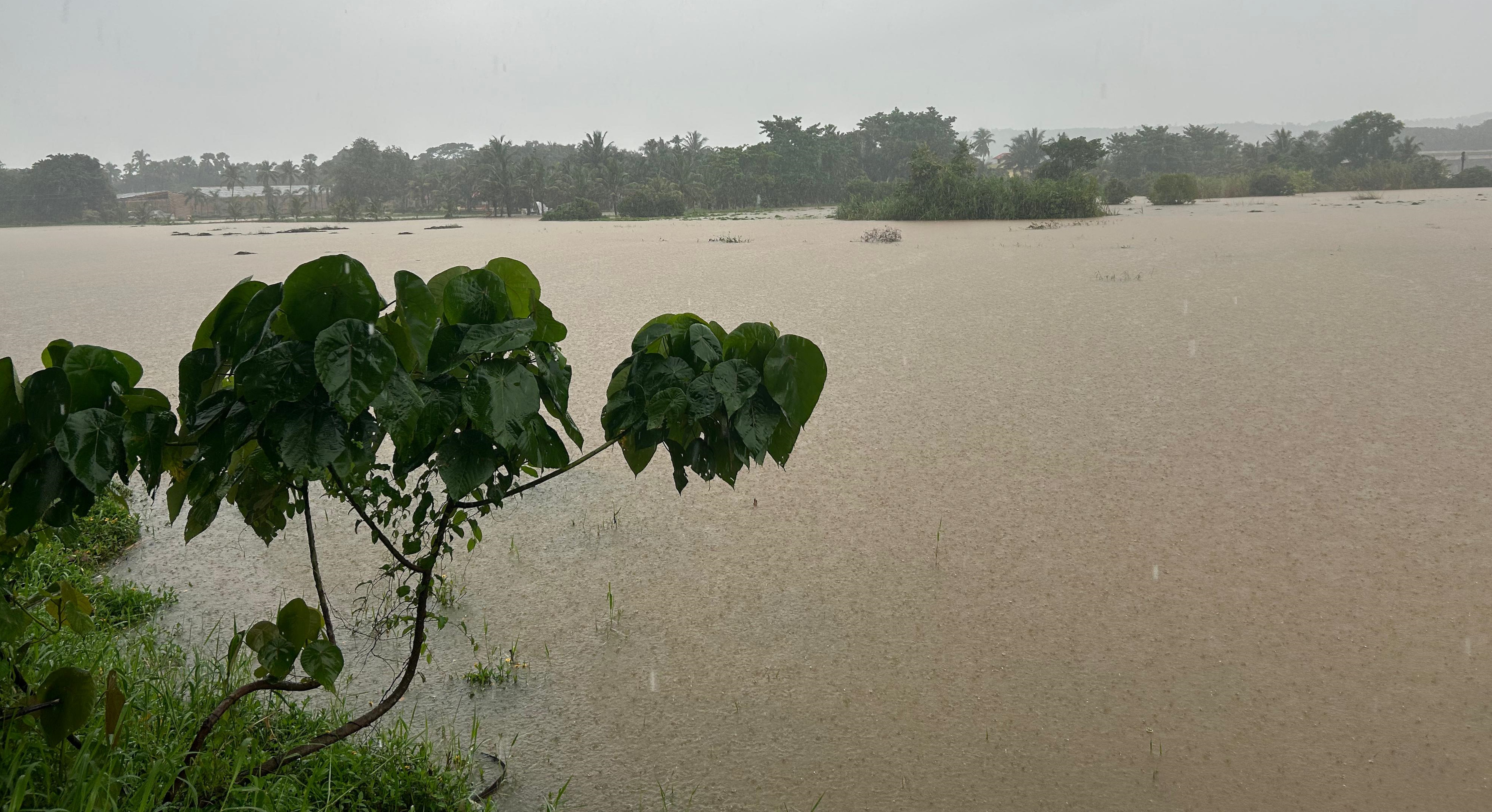 ಗುರುಪುರದಲ್ಲಿ ಫಲ್ಗುಣಿ ನದಿ ಉಕ್ಕಿ ಹರಿದಿದ್ದರಿಂದ ಅಕ್ಕಪಕ್ಕದ ಪ್ರದೇಶಗಳು ಸೋಮವಾರ ಜಲಾವೃತವಾದವು