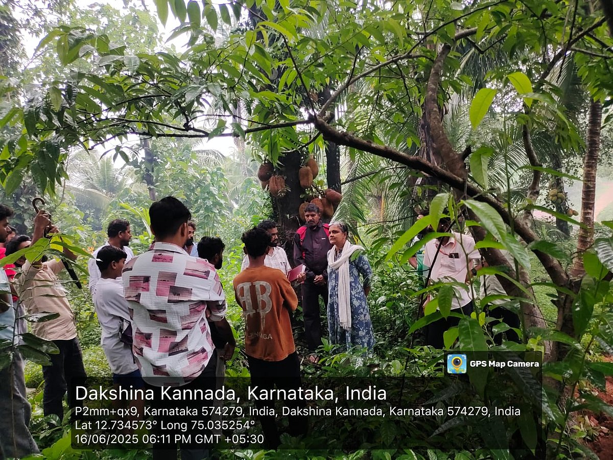 ಕನ್ಯಾನ: ಭೂಮಿ ಕಂಪಿಸಿದ ಅನುಭವ