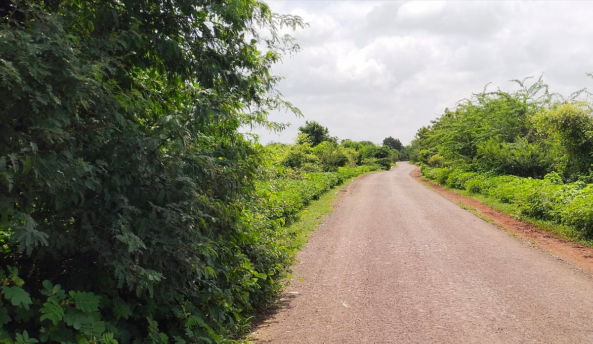 ಹುಲಸೂರ: ರಸ್ತೆಗೆ ಚಾಚಿದ ಗಿಡ–ಗಂಟಿ; ಸಂಚಾರಕ್ಕೆ ತೊಂದರೆ