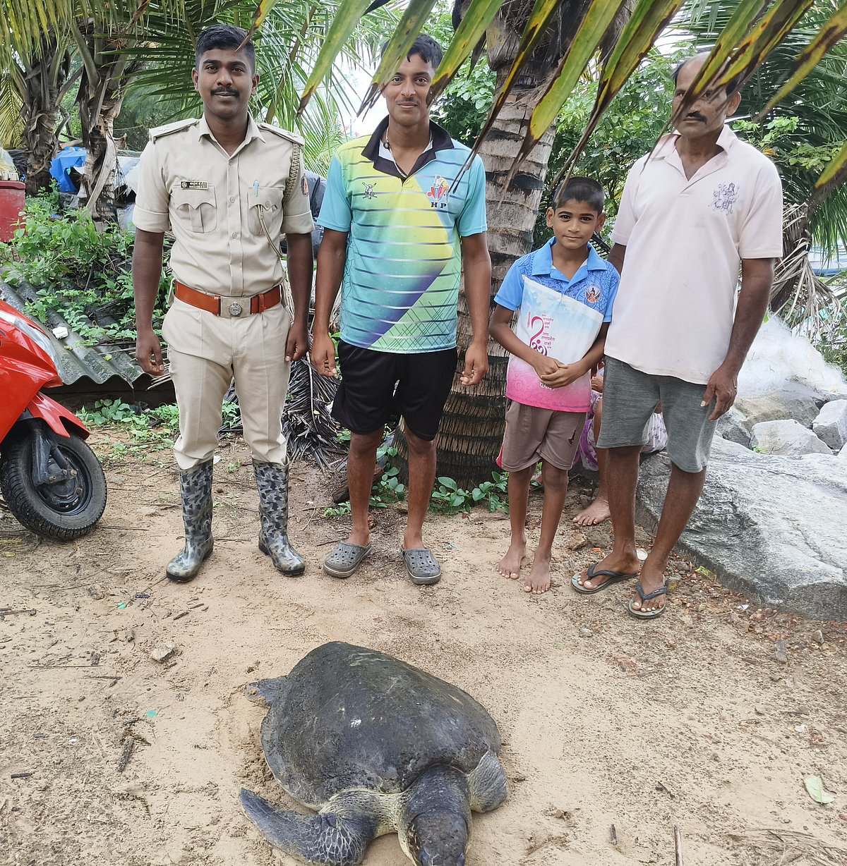 ಕಾರವಾರ: ಗಾಯಗೊಂಡಿದ್ದ ಕಡಲಾಮೆಗೆ ಚಿಕಿತ್ಸೆ