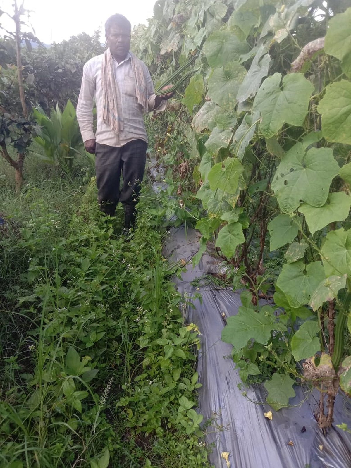 ಹುಬ್ಬಳ್ಳಿ | ಒಂದೇ ಎಕರೆ: 20ಕ್ಕೂ ಹೆಚ್ಚು ಬೆಳೆ