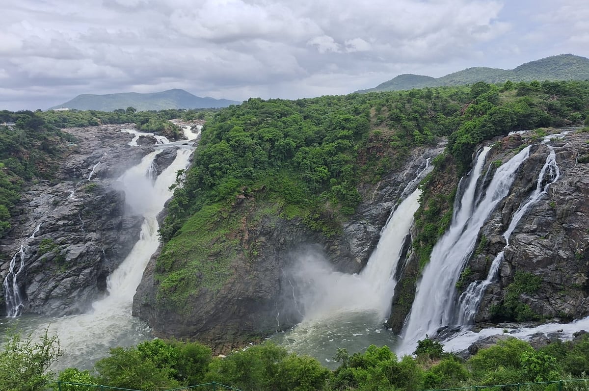 ಮಂಡ್ಯ: ಶಿವನಸಮುದ್ರ ಸಮೀಪದ ​ಗಗನಚುಕ್ಕಿ ಜಲಪಾತಕ್ಕೆ ಜೀವಕಳೆ