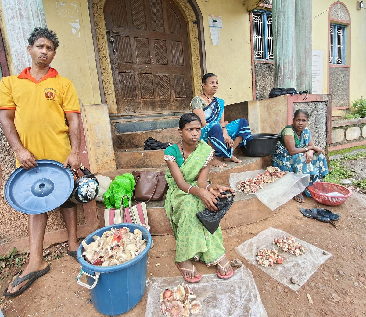 ಜೊಯಿಡಾ ನೆಲದಲ್ಲಿ ಕಾಡು ಅಣಬೆ ಕಲರವ