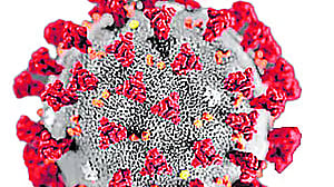 ಕೋವಿಡ್: ‘ಡೆತ್ ಆಡಿಟ್’ ತಂಡ ಪುನರ್ ರಚನೆ