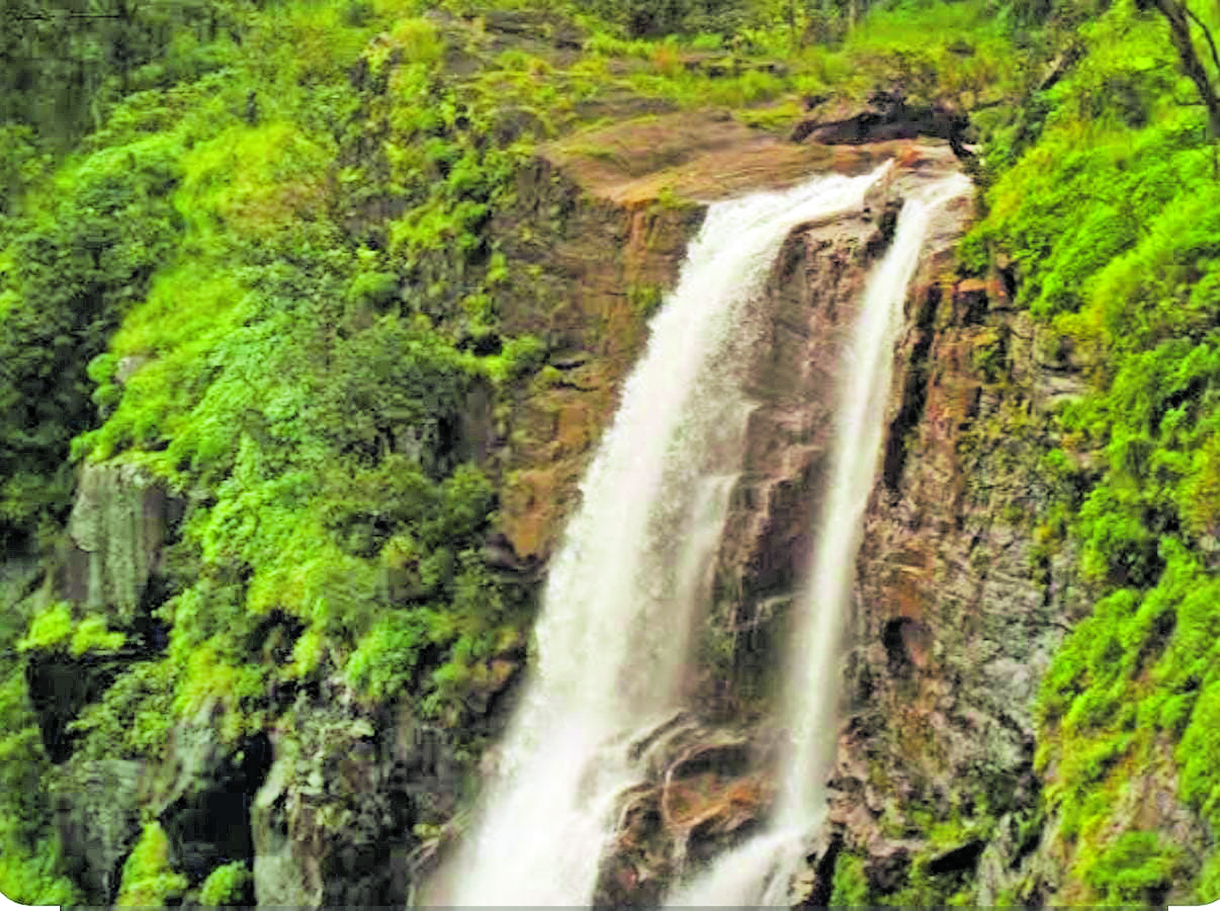 ಬಂಡಾಜೆ ಜಲಪಾತ