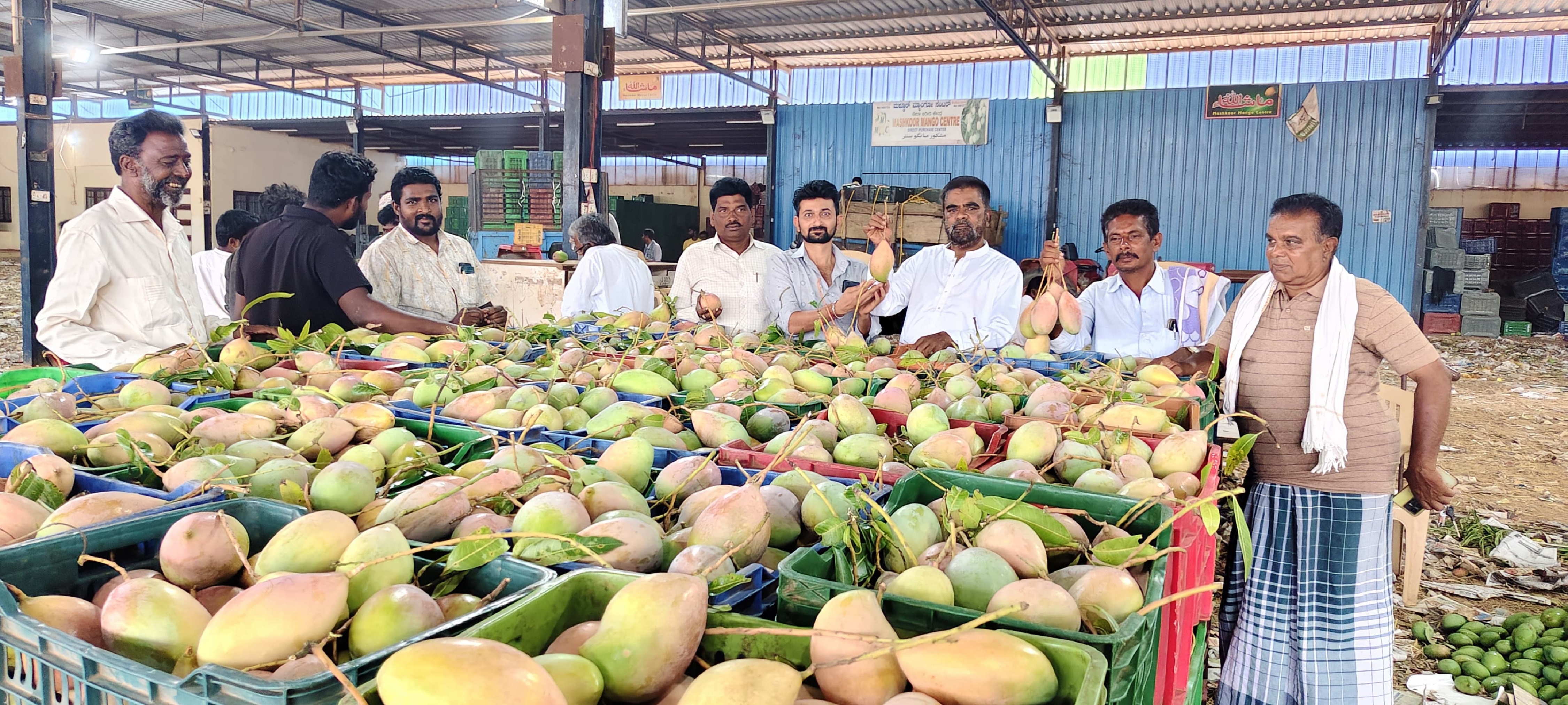 ಶ್ರೀನಿವಾಸಪುರ ಮಾವಿನ ಮಂಡಿಯಲ್ಲಿ ಮಾವು ಮಾರಾಟ