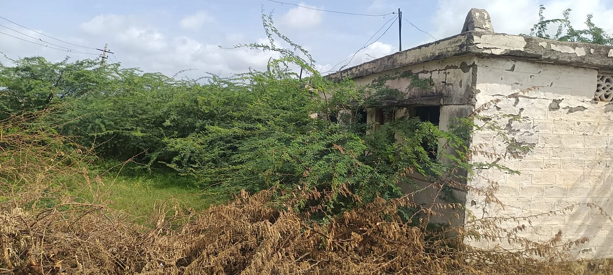 ರೋಣ: ಪ್ರವಾಹಪೀಡಿತ ಮಲಪ್ರಭೆಯ ಒಡಲ ಮಕ್ಕಳ ಗೋಳು ಕೇಳುವವರಾರು?
