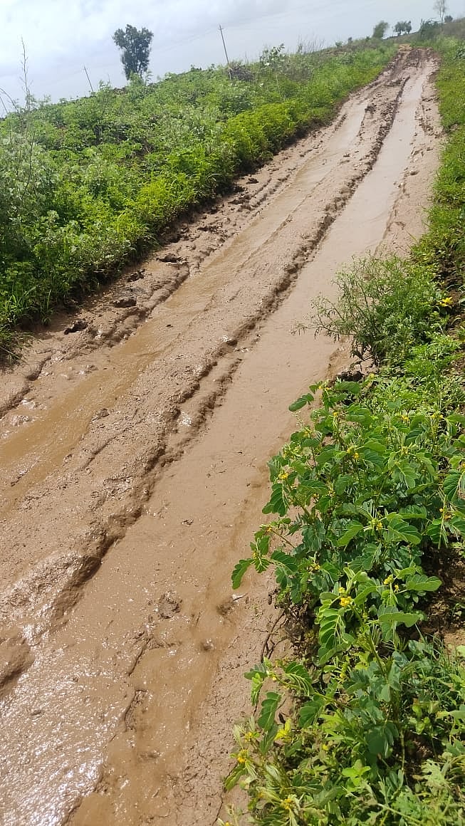 ಧಾರವಾಡ | ಹೊಲಕ್ಕೆ ತೆರಳಲು ರಸ್ತೆಗಳೇ ಇಲ್ಲ: ಬಿತ್ತನೆಗೆ ರೈತರ ಹರಸಾಹಸ