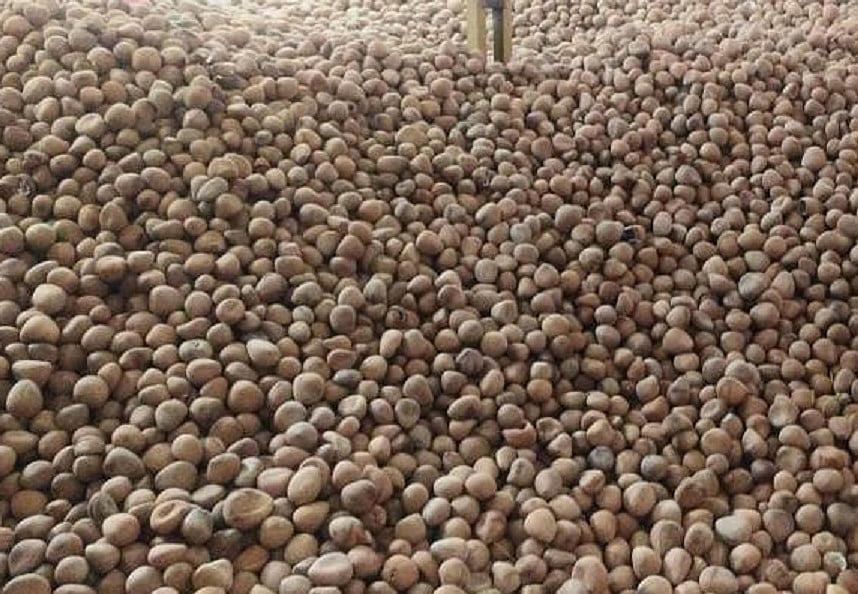 ಕ್ವಿಂಟಲ್‌ಗೆ ₹26 ಸಾವಿರ ದಾಟಿದ ಉಂಡೆ ಕೊಬ್ಬರಿ ಬೆಲೆ