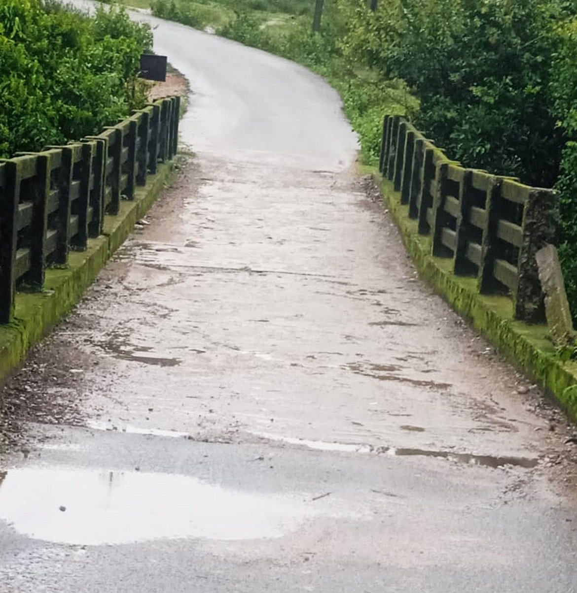 ತೀರ್ಥಹಳ್ಳಿ: ಅಪಾಯದ ಹಂತದಲ್ಲಿ ಕುಣಿಗದ್ದೆ ಸೇತುವೆ