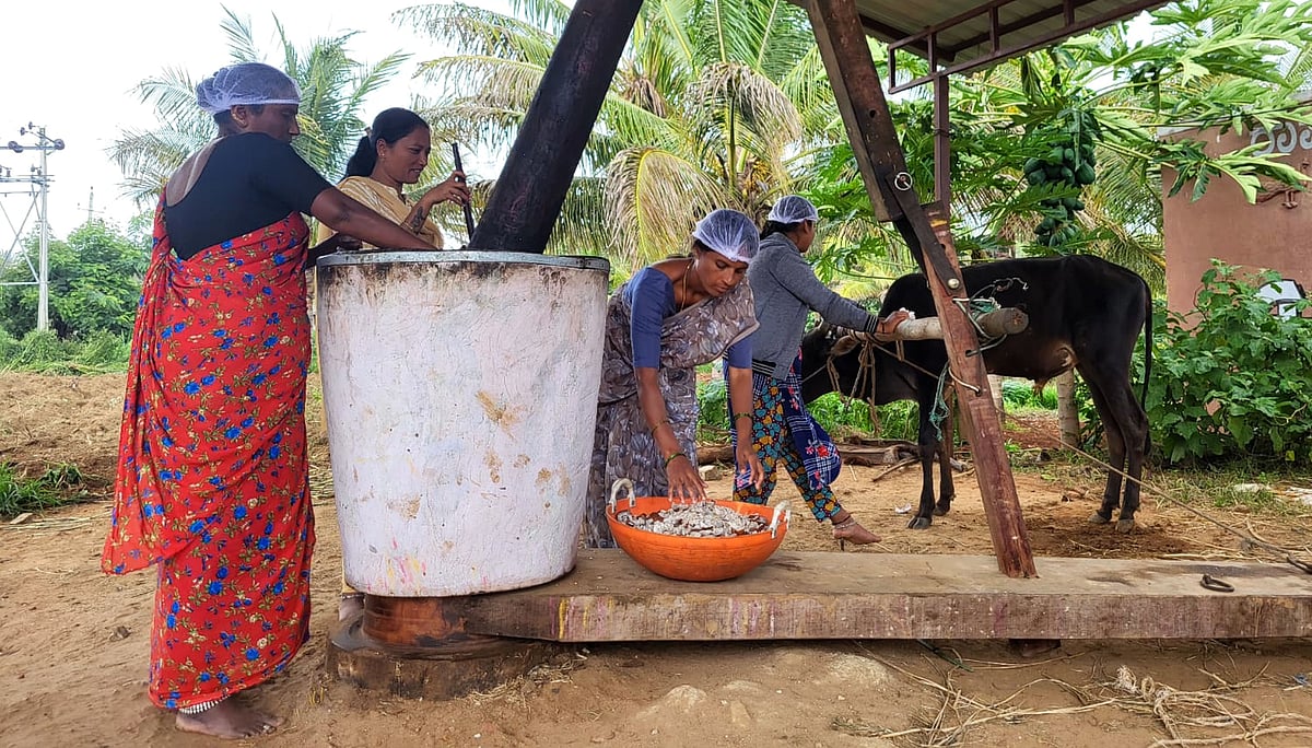 ಸಾಂಪ್ರದಾಯಿಕ ‘ಎಣ್ಣೆಗಾಣ’ಗಳಿಗೆ ಮರುಜೀವ 