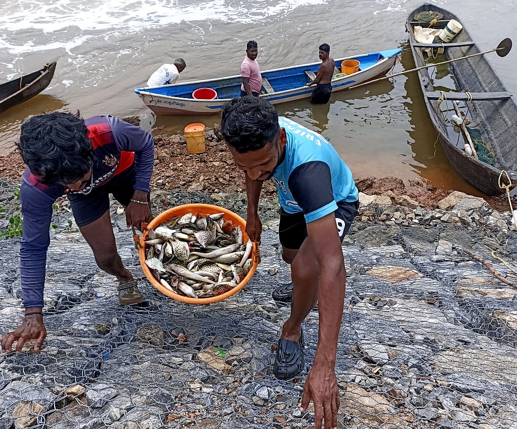 ಅವಧಿ ಪೂರ್ವ ಮಳೆ: ನದಿ ಪಾಲಾದ ಮೀನು