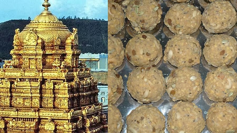 ತಿರುಮಲ: ಲಡ್ಡು ಸ್ವೀಕರಿಸಲು ಕಿಯೋಸ್ಕ್‌ ಯಂತ್ರ ಪರಿಚಯಿಸಿದ ಟಿಟಿಡಿ